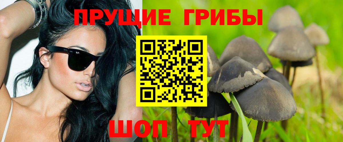 Псилоцибиновые грибы ЛСД Боровичи