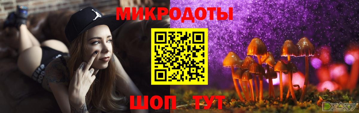 Боровичи  Псилоцибиновые грибы Magic Shrooms  Псилоцибиновые грибы Psilocybine cubensis  Вход с VPN 